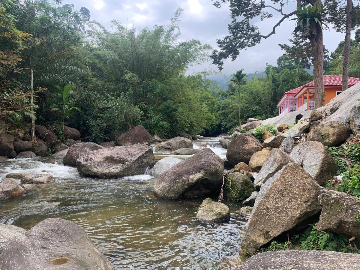 فندق Kampong Ayer Hitam في  Chalet Latip D'Ayer Itam المظهر الخارجي الصورة